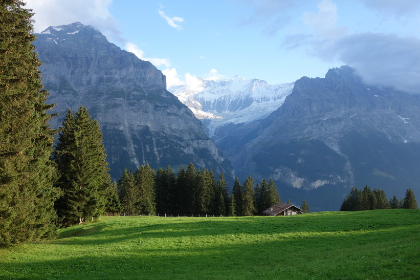 Den långa vandringen från Bachsee (2265 m.ö.h.) hela vägen ner till Grindelwald (1034 m.ö.h.).