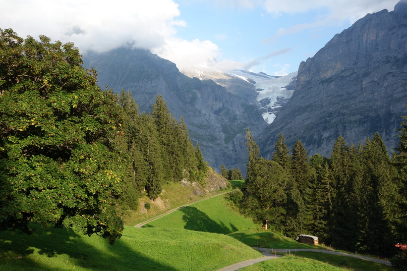Den långa vandringen från Bachsee (2265 m.ö.h.) hela vägen ner till Grindelwald (1034 m.ö.h.).