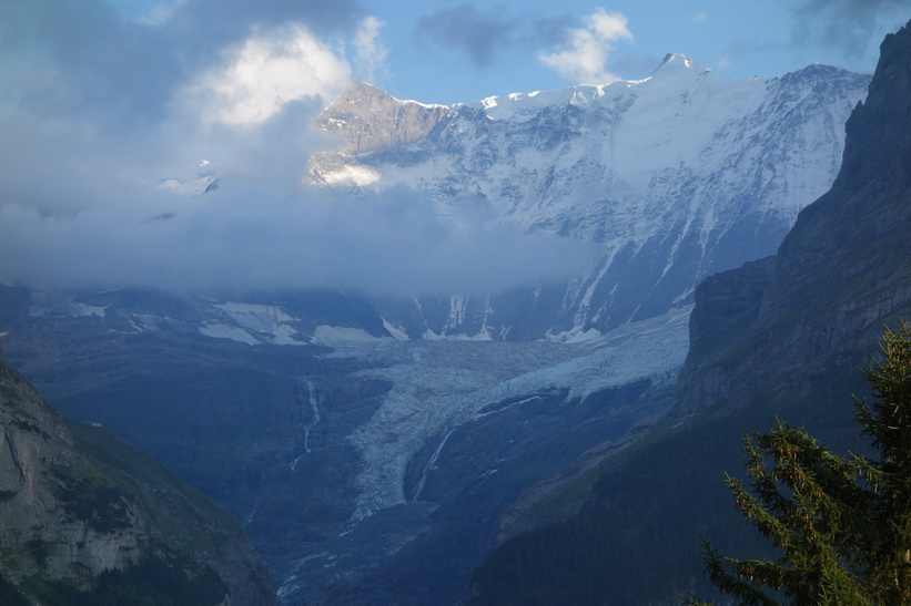 Oberer Grindelwaldgletscher. Den långa vandringen från Bachsee (2265 m.ö.h.) hela vägen ner till Grindelwald (1034 m.ö.h.).