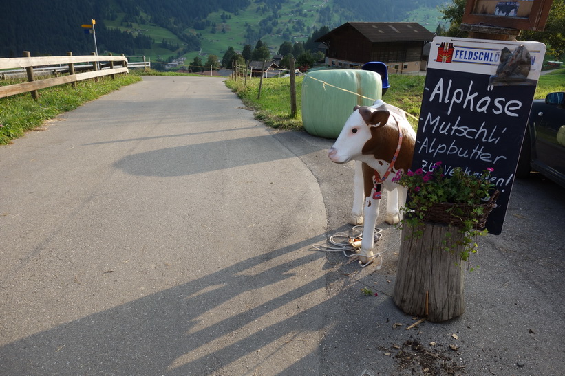 Den långa vandringen från Bachsee (2265 m.ö.h.) hela vägen ner till Grindelwald (1034 m.ö.h.).