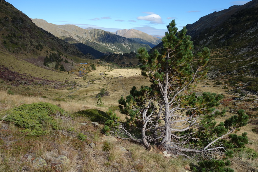 På väg ner till Arinsal.