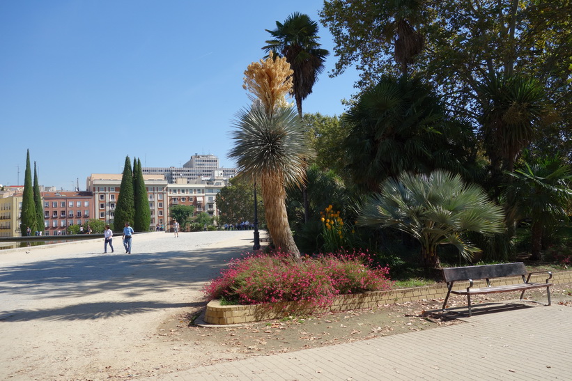 Parque del Oeste, Madrid.