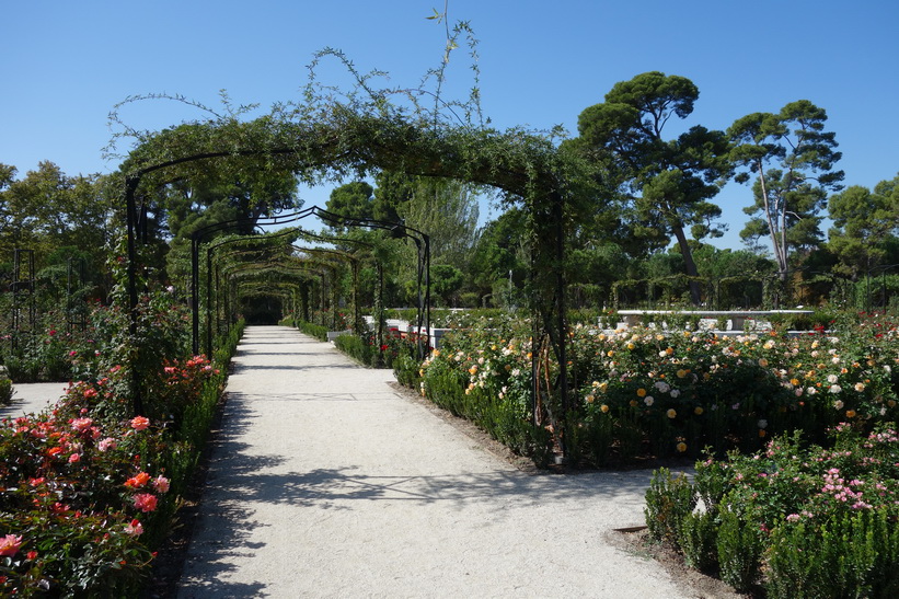 La Rosaleda, Parque de El Retiro, Madrid.