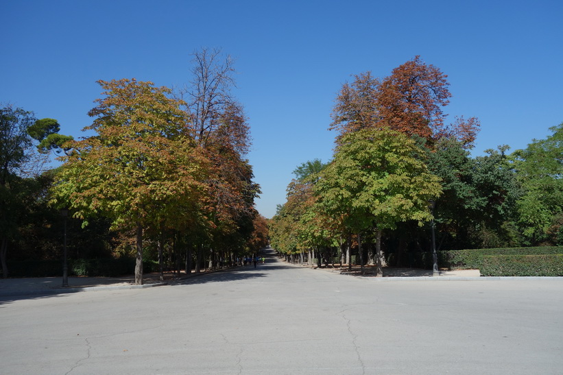 Parque de El Retiro, Madrid.