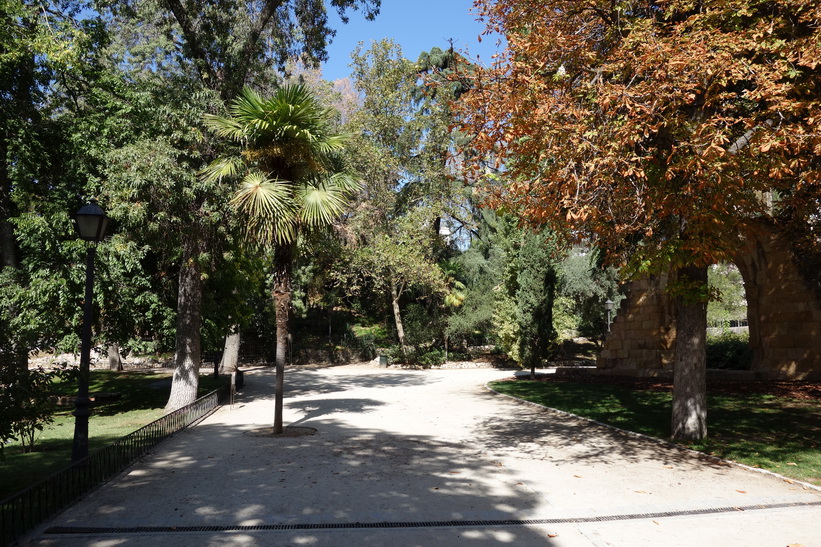 Parque de El Retiro, Madrid.