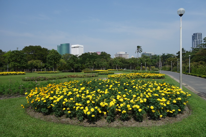 Chatuchak Park, Bangkok.