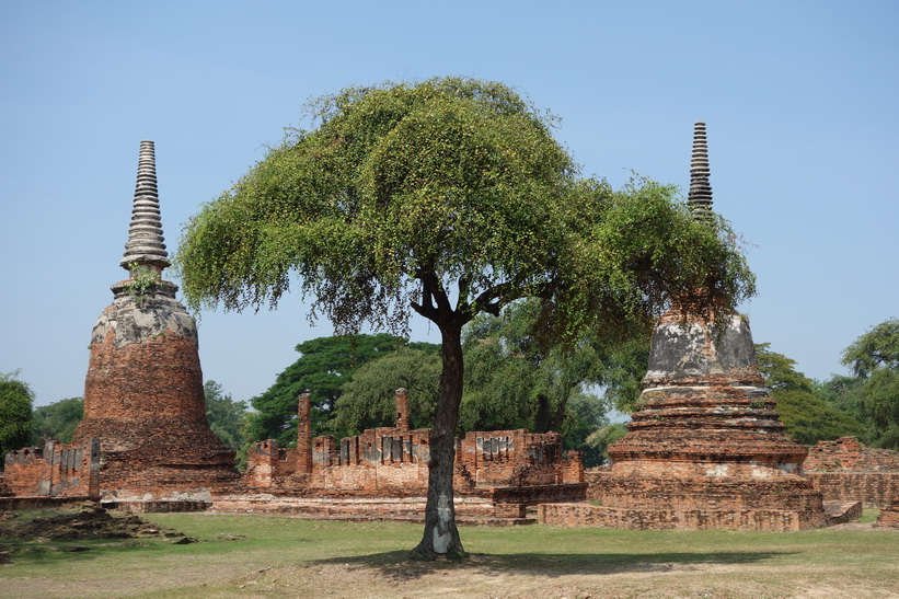 Historiska parken i Ayutthaya.