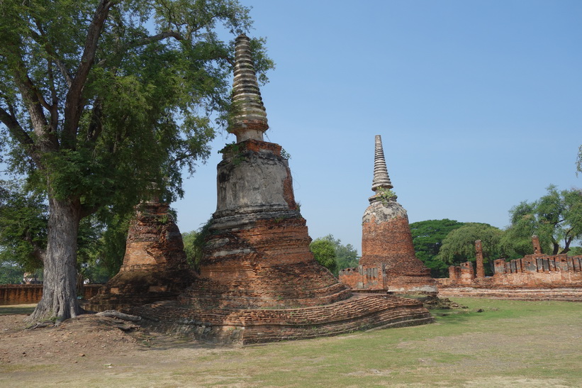 Historiska parken i Ayutthaya.