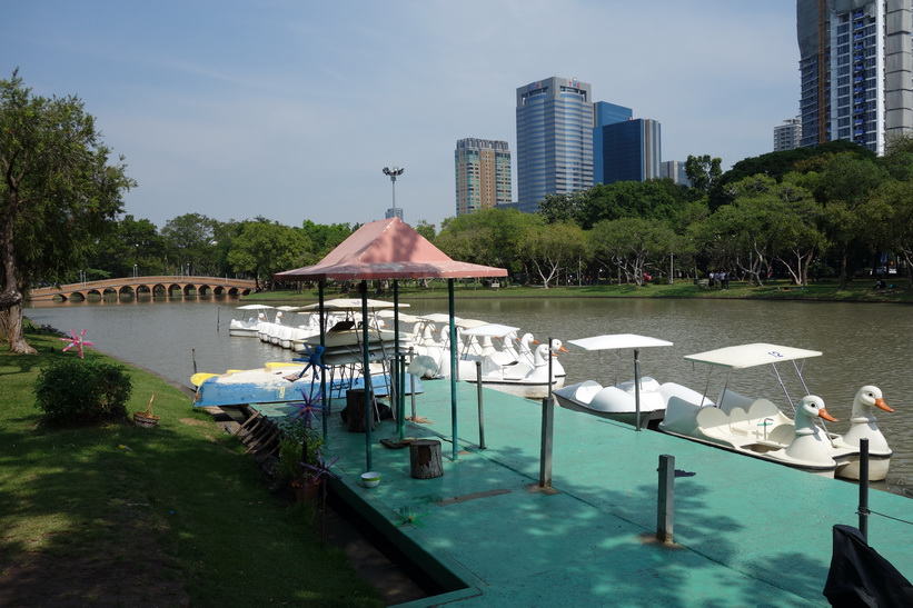 Chatuchak Park, Bangkok.