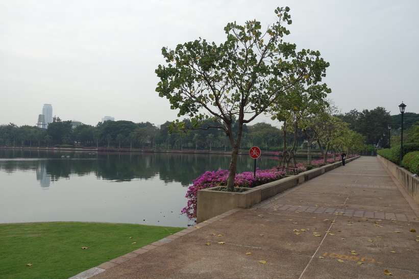 Benjakitti-parken, Bangkok.