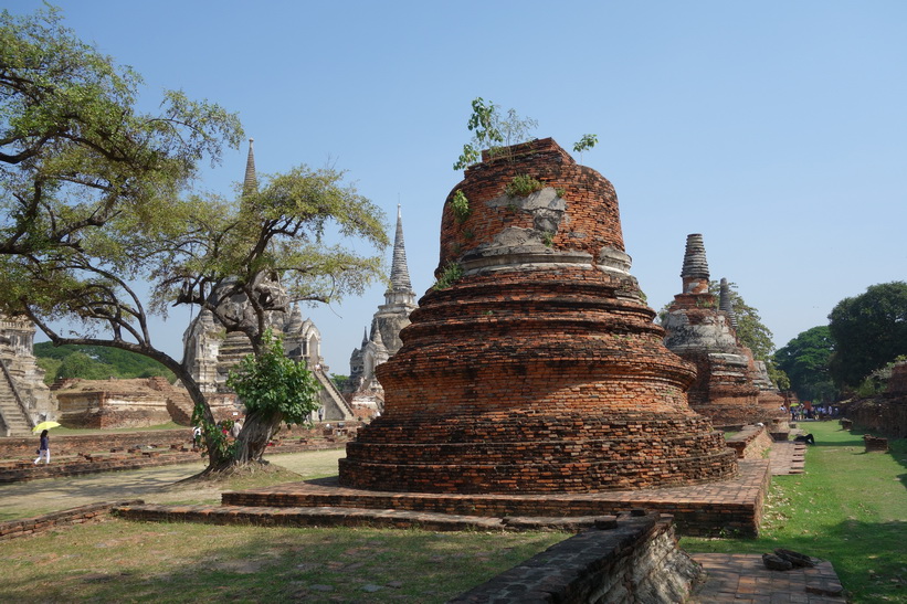 Historiska parken i Ayutthaya.