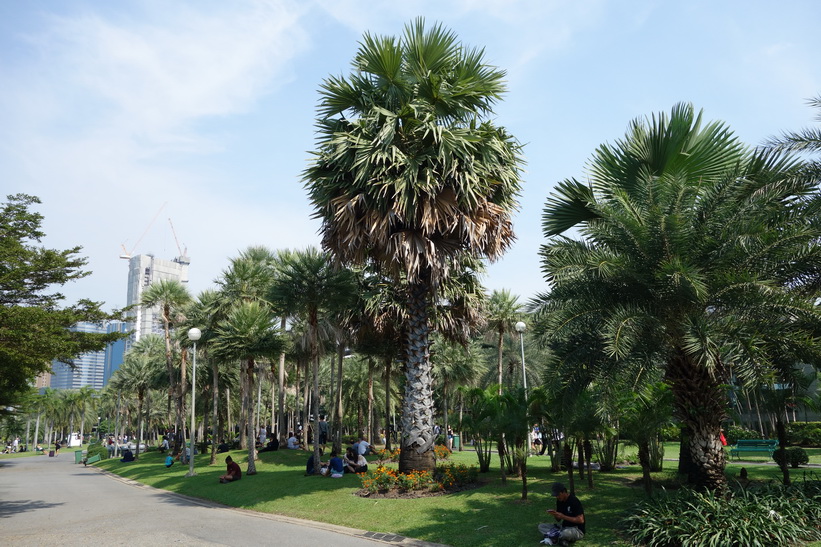 Chatuchak Park, Bangkok.