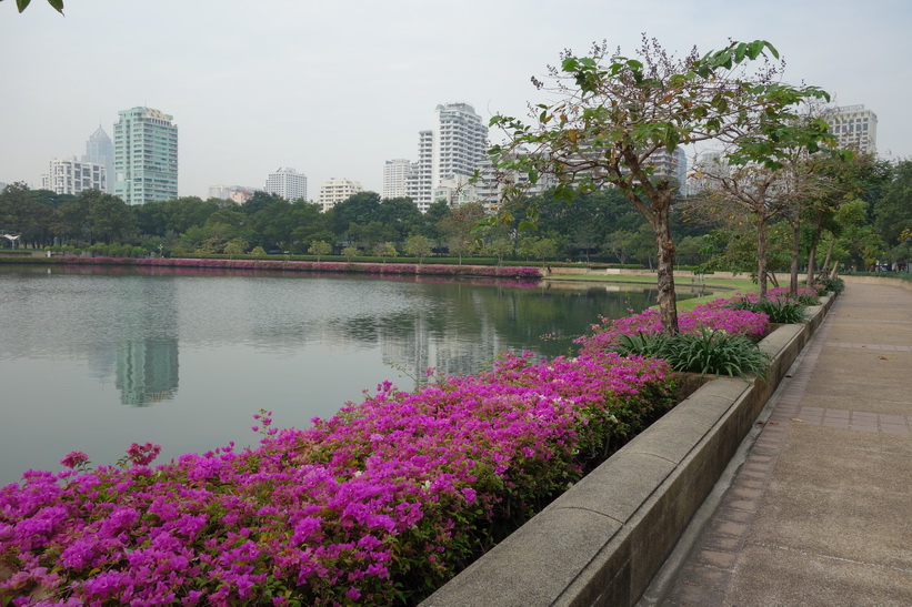 Benjakitti-parken, Bangkok.