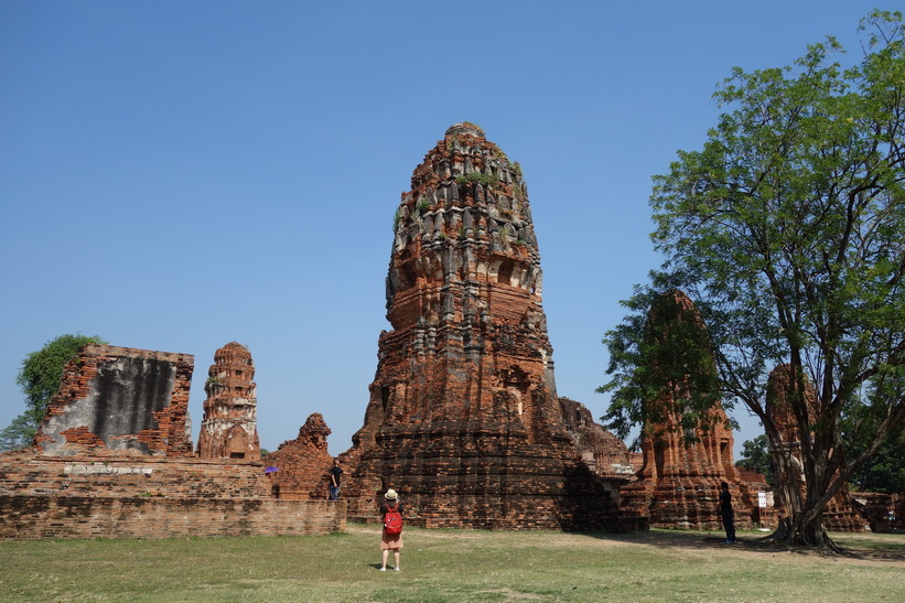 Historiska parken i Ayutthaya.