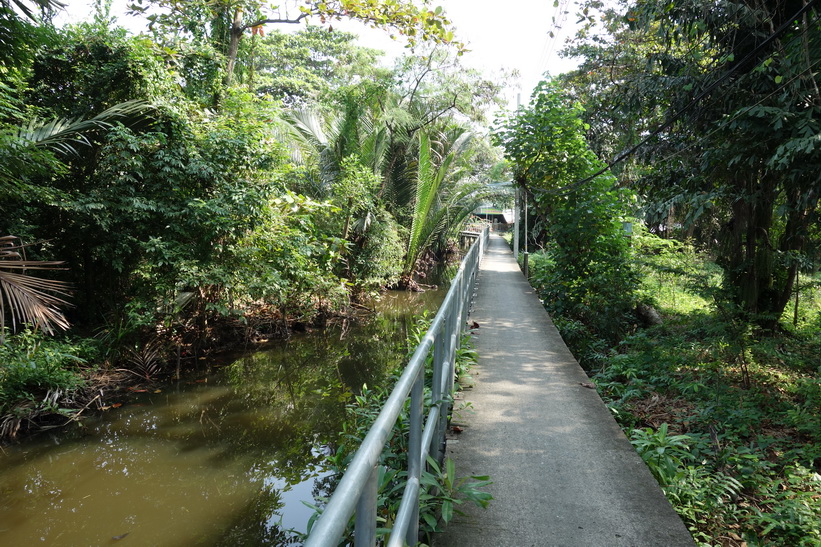 Cykelturen i Bang Kachao, Bangkok.