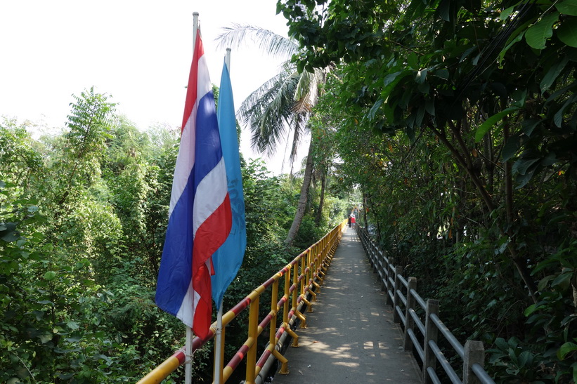 Cykelturen i Bang Kachao, Bangkok.