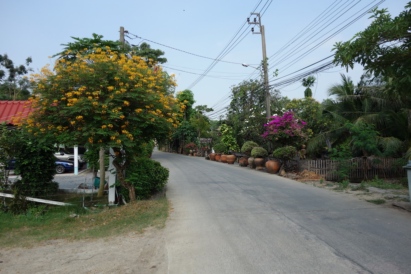 Cykelturen i Bang Kachao, Bangkok.