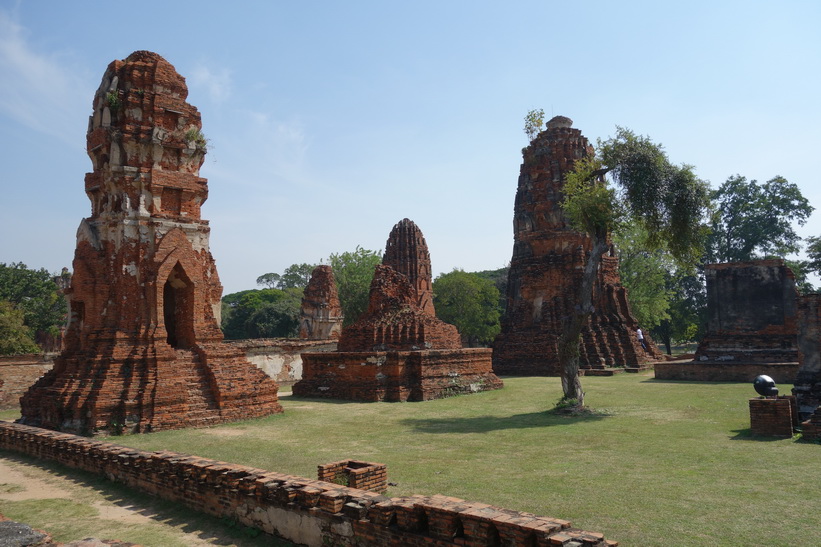 Historiska parken i Ayutthaya.