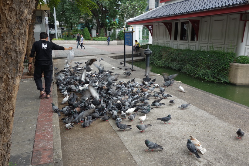 Benjasiri-parken, Bangkok.