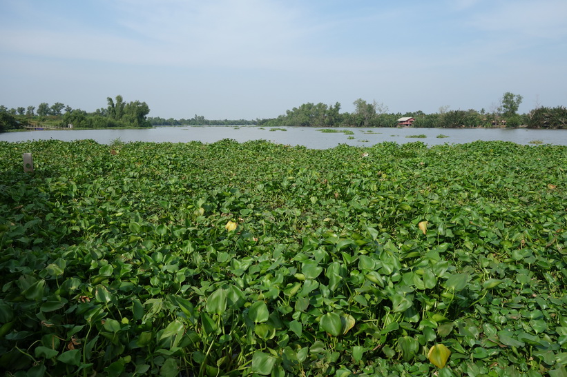 Wat Saman Rattanaram, Chachoengsao.