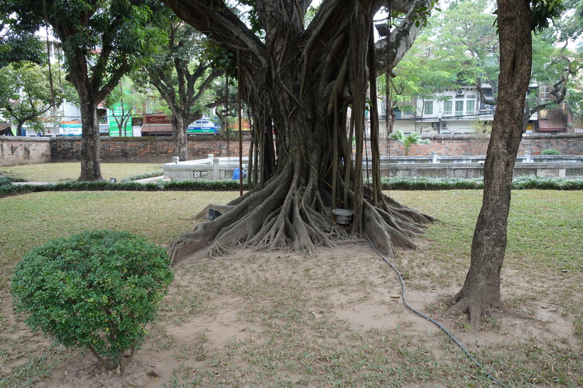 Temple of Literature, Hanoi.