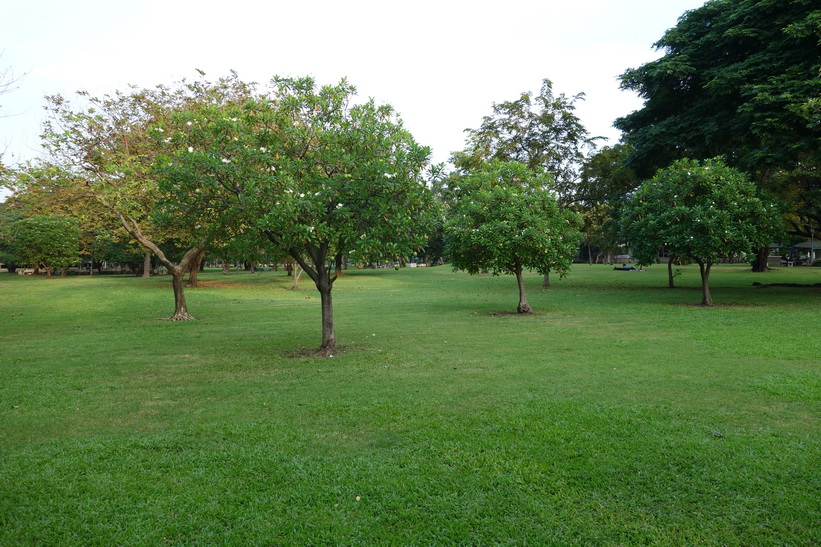 Lumpini-parken, Bangkok.