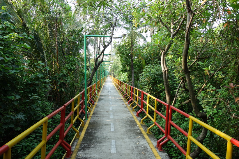 Cykelturen i Bang Kachao, Bangkok.