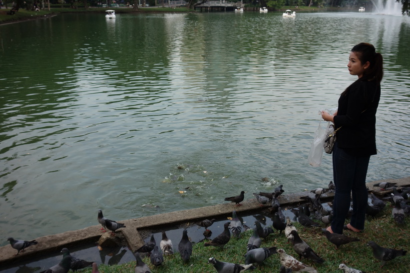 Hon slår två flugor i en smäll och matar både fiskar och fåglar, Lumpini-parken, Bangkok.