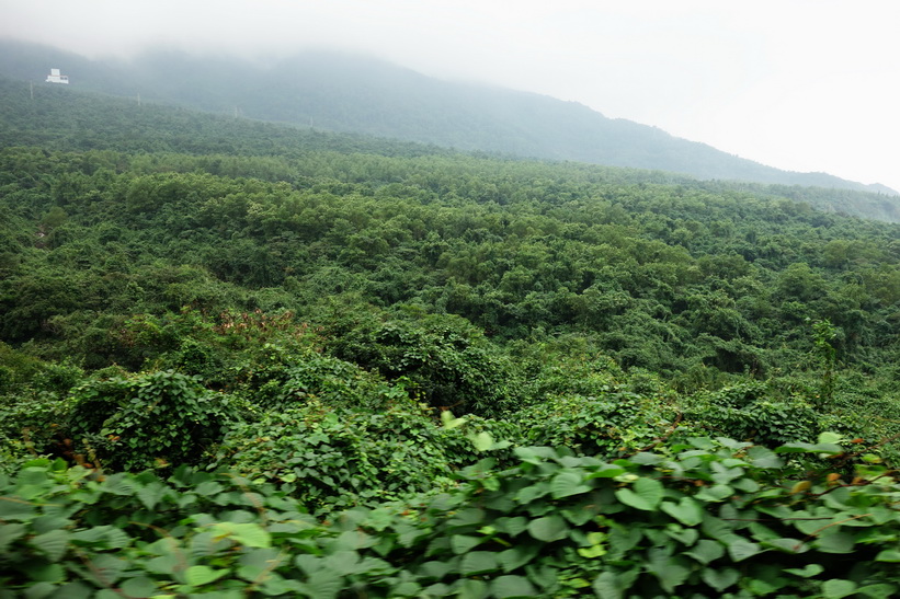 Bach Ma National Park från tågfönstret mellan Da Nang och Hue.